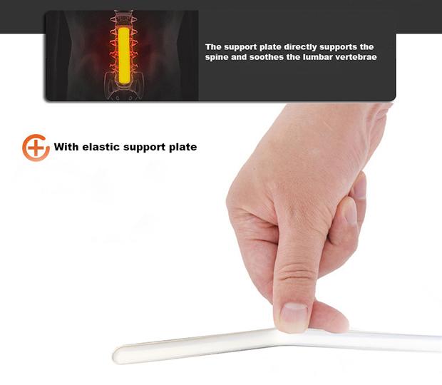 Back Support Belt