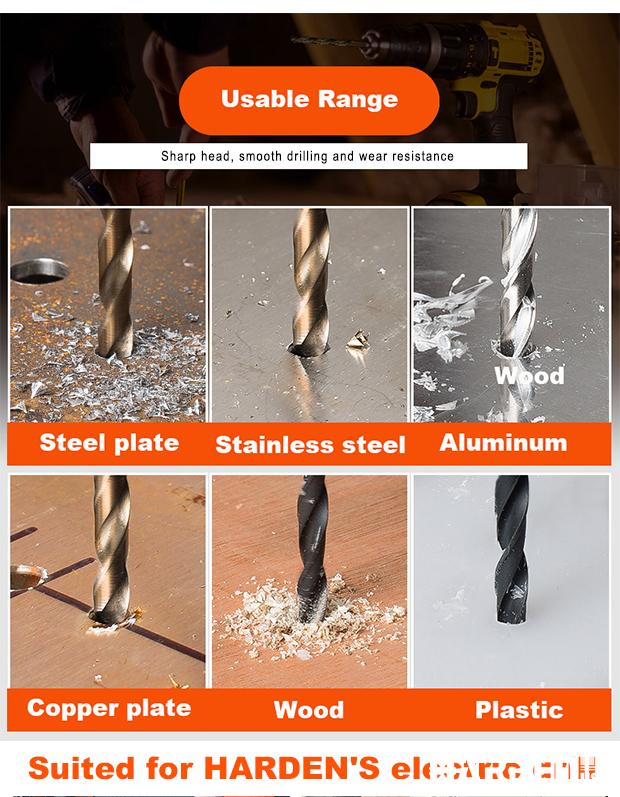 19Pcs Twist Drill Set