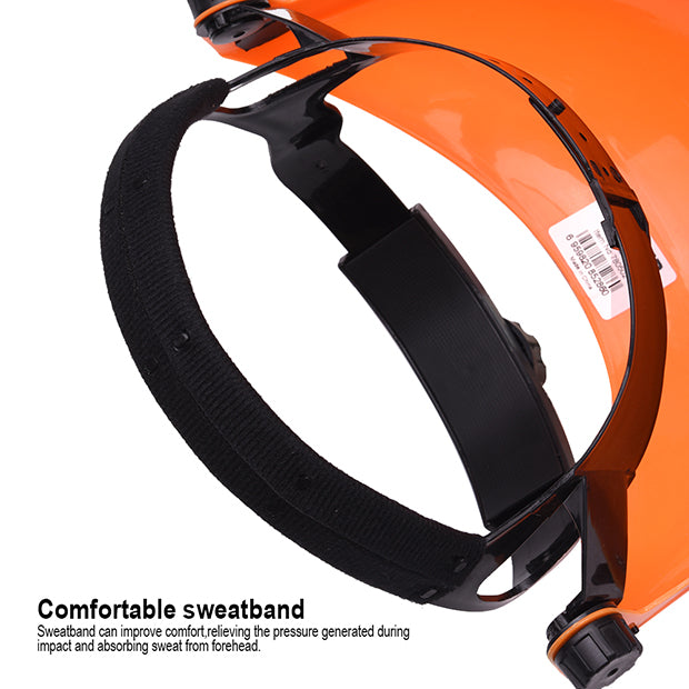 Face Shield