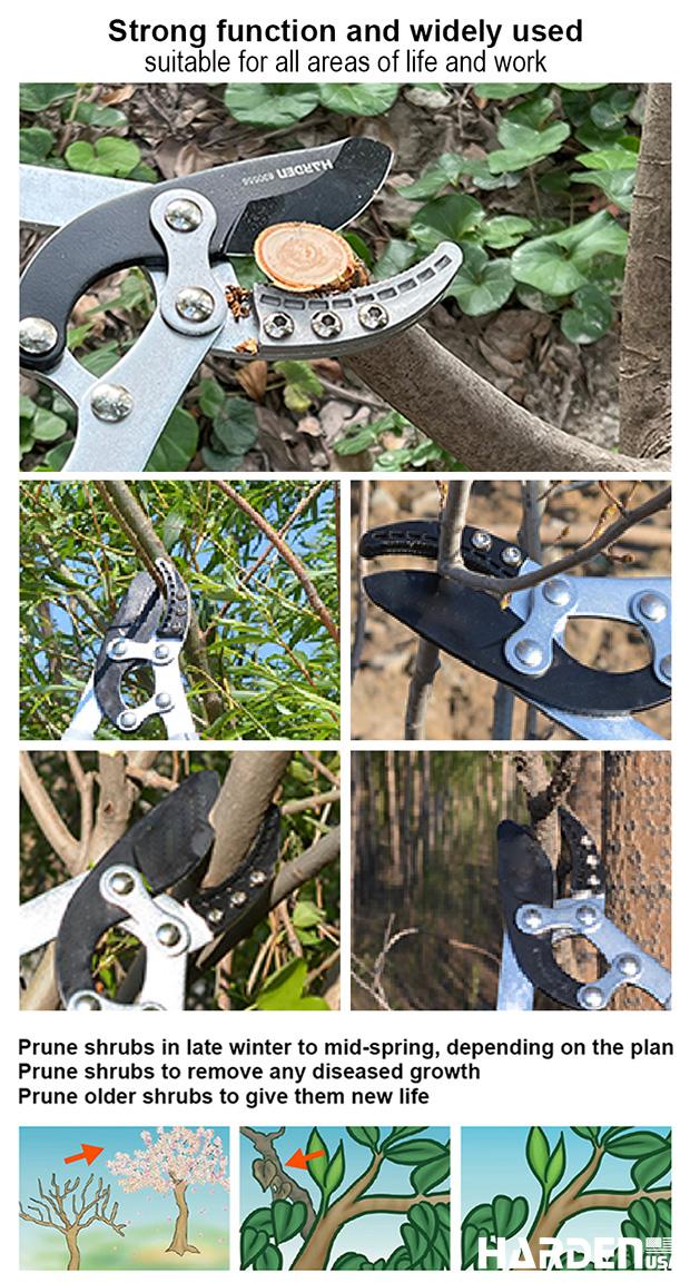 30.5" lopping Pruner